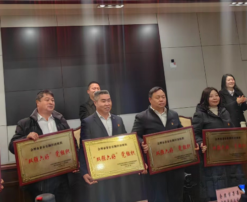 喜訊！礦業(yè)總公司財通公司黨支部榮獲會理市“雙強六好”黨組織稱號(圖2)