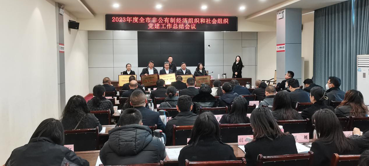 喜訊！礦業(yè)總公司財通公司黨支部榮獲會理市“雙強六好”黨組織稱號(圖3)